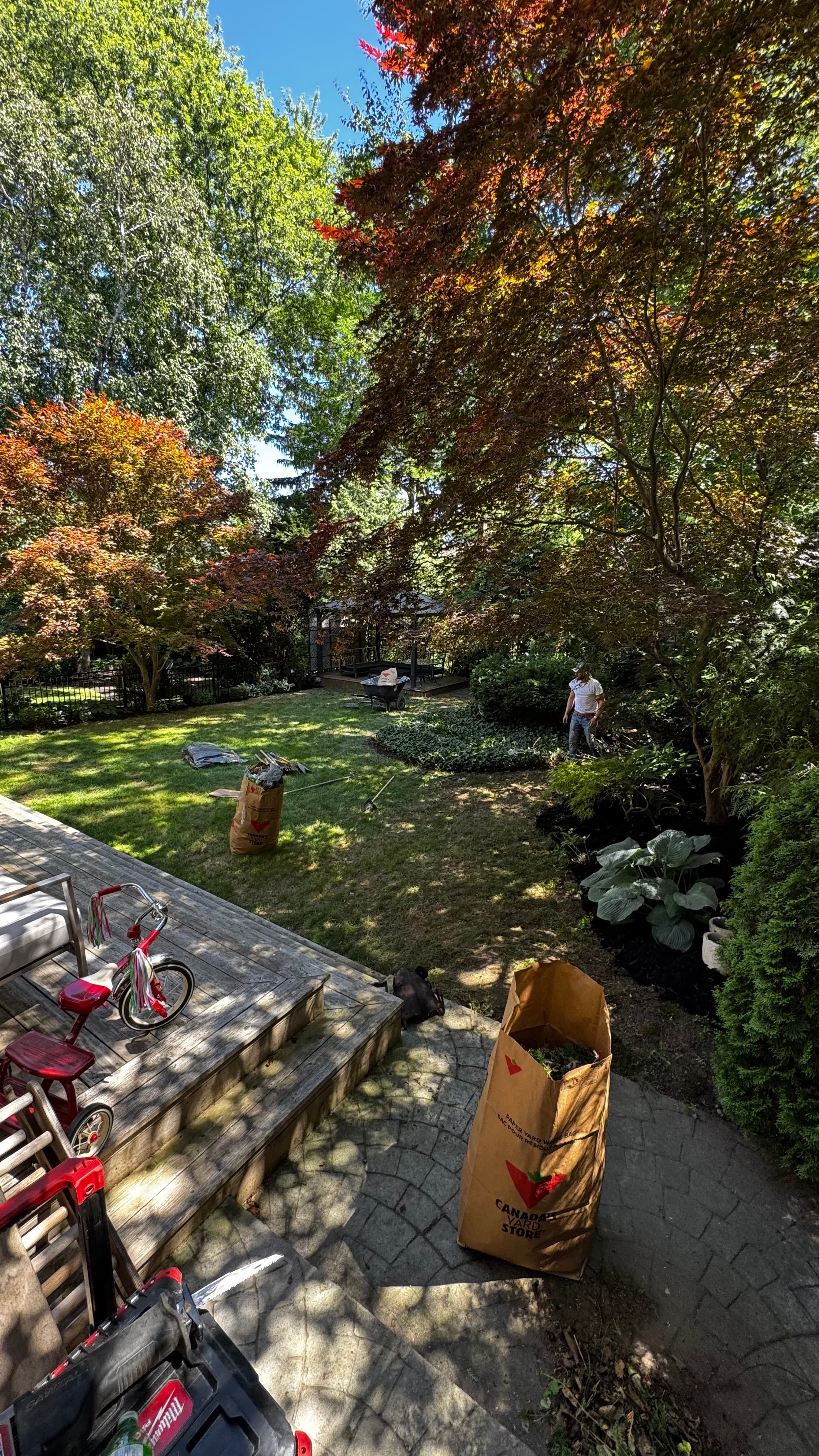 Man gardening in a sunlit backyard with lush trees, paper waste bags, and a deck.